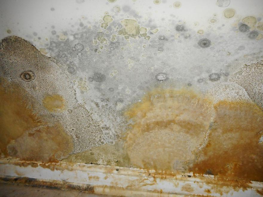 Field photograph Fig. 05
