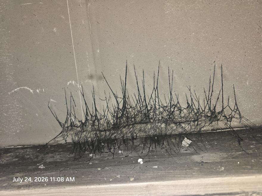 Field photograph Fig. 06
