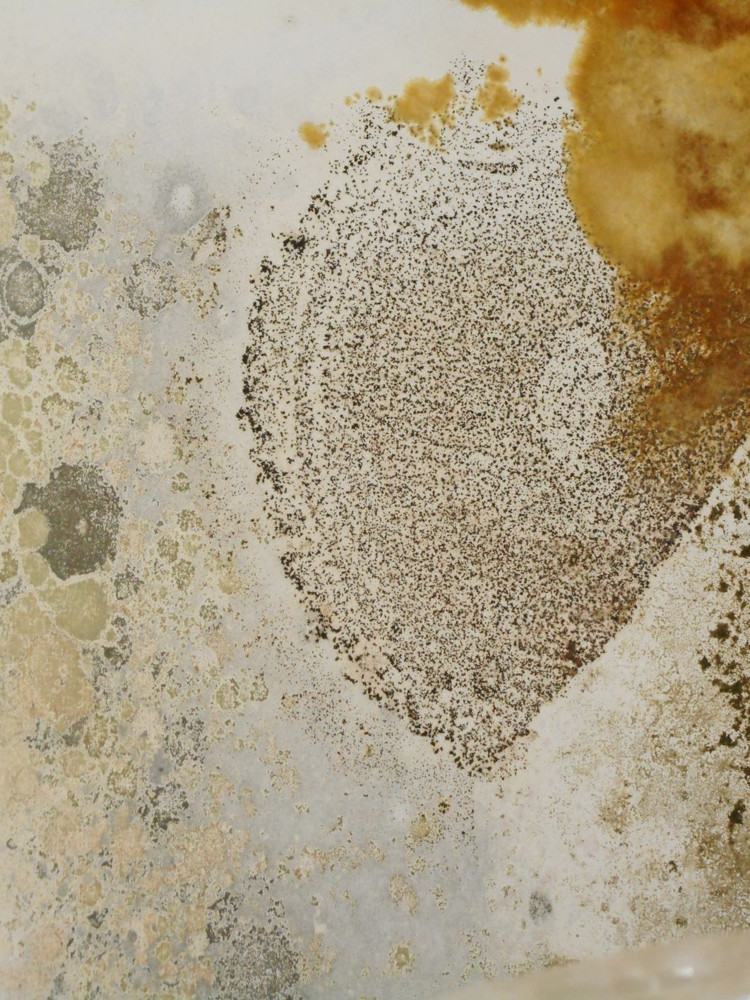 Environmental inspection close-up — hover to magnify